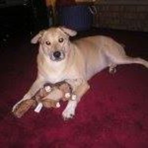 Meet your Posher, Katherine - Picture 1 of 1